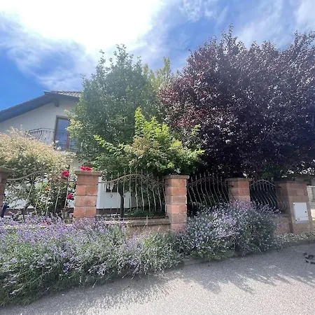 Krasny Stylovy Dom V Rovinke Holiday home