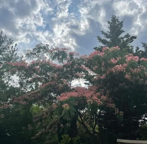 Krasny Stylovy Dom V Rovinke Holiday home Rovinka